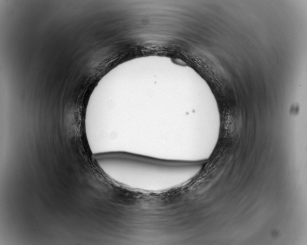 X0000103420868200810101016