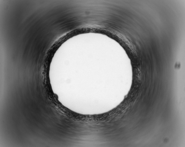 X0000103420872200810101016