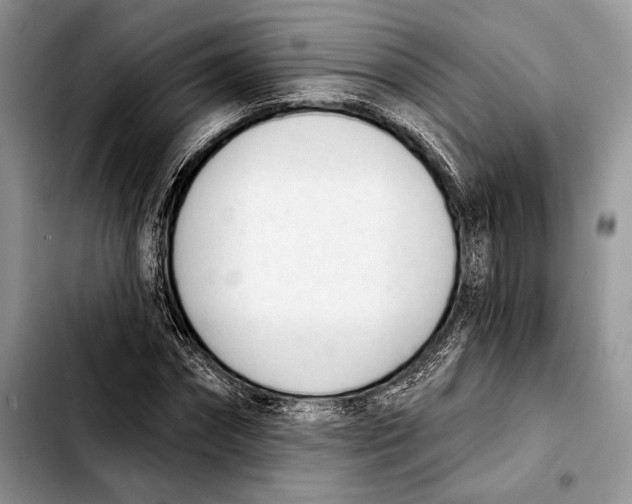 X0000103420874200810101016