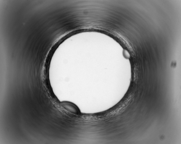 X0000103420876200810101016