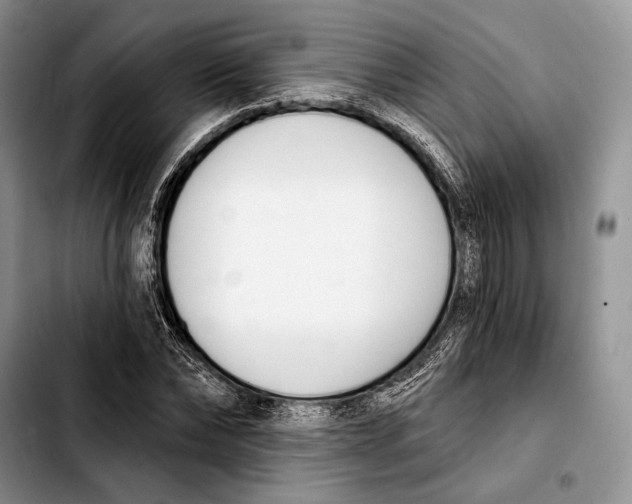 X0000103420878200810101016