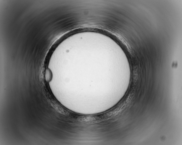 X0000103420879200810101016
