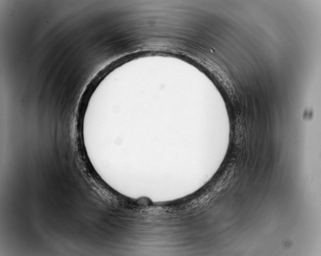 X0000103420880200810101016