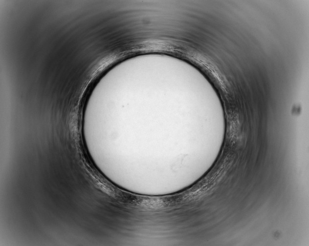 X0000103420882200810101016