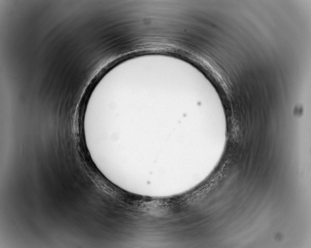 X0000103420883200810101016