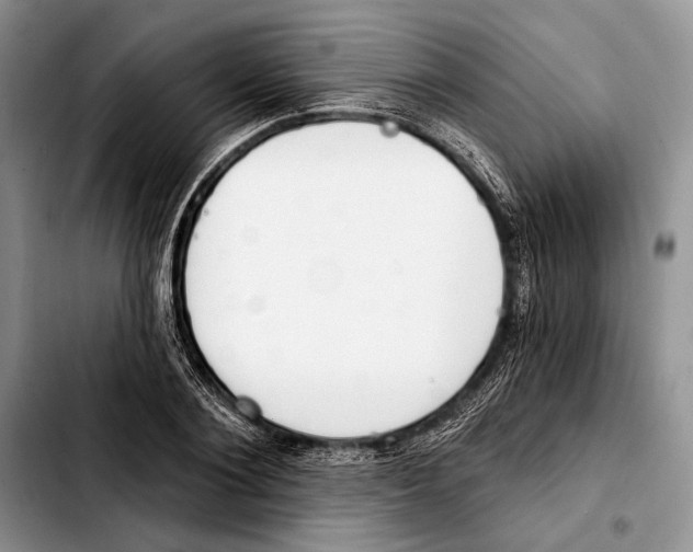 X0000103420884200810101016