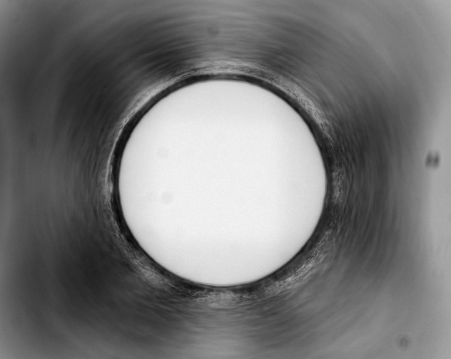 X0000103420885200810101016