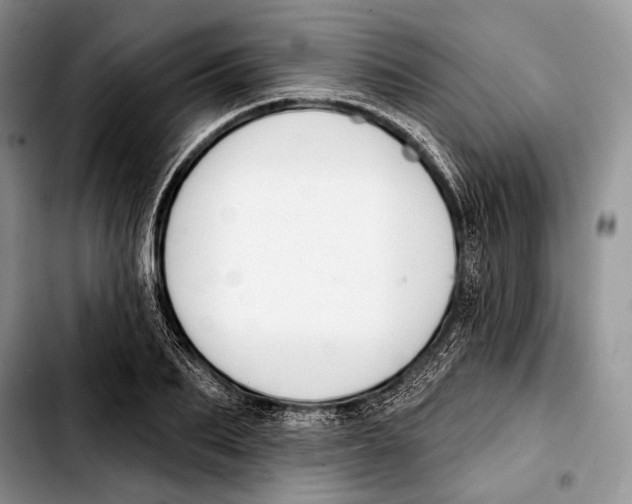 X0000103420887200810101016