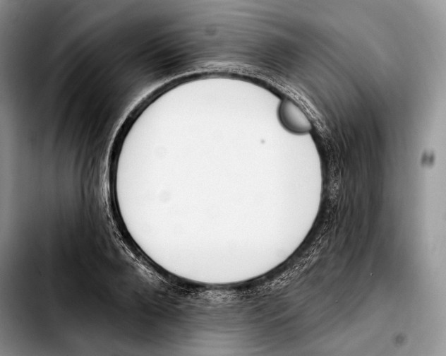 X0000103420888200810101016