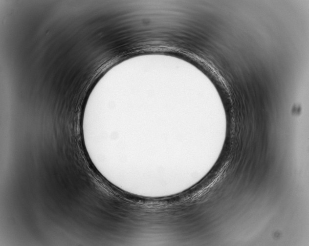 X0000103420889200810101016