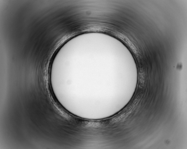 X0000103420890200810101016