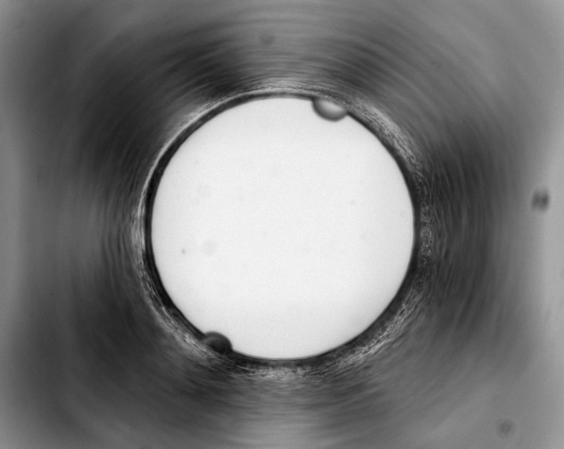 X0000103420892200810101016