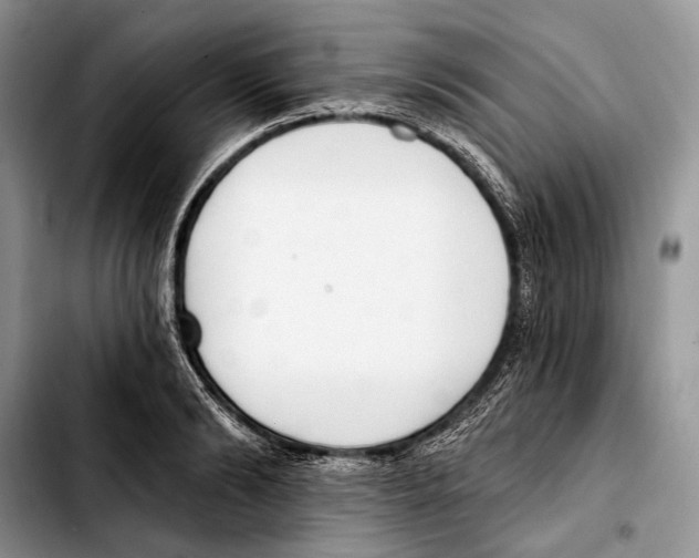 X0000103420894200810101016