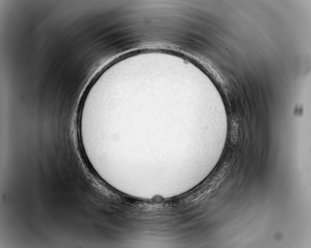 X0000103420895200810101016