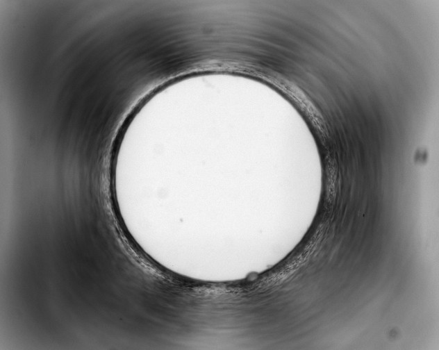 X0000103420896200810101016