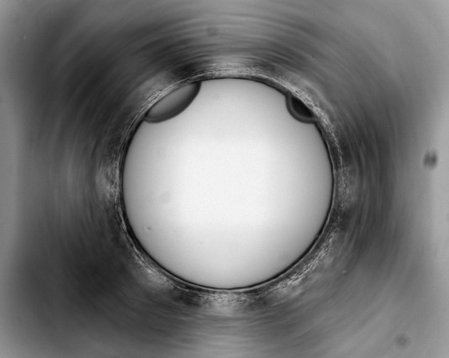 X0000103420897200810101016