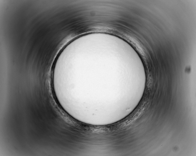 X0000103420899200810101016