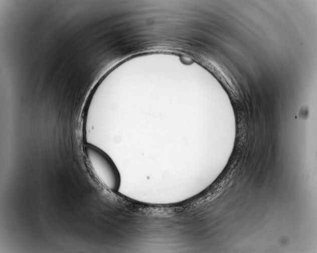 X0000103420900200810101016