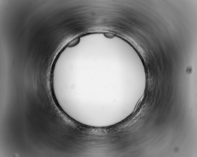 X0000103420901200810101016