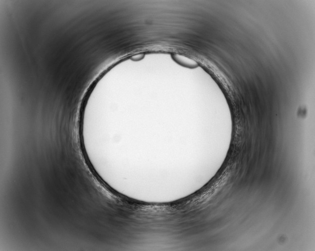 X0000103420902200810101016
