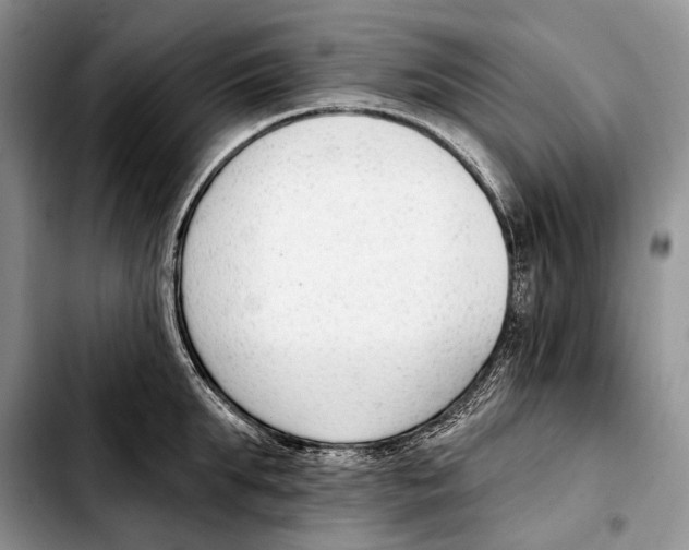 X0000103420903200810101016