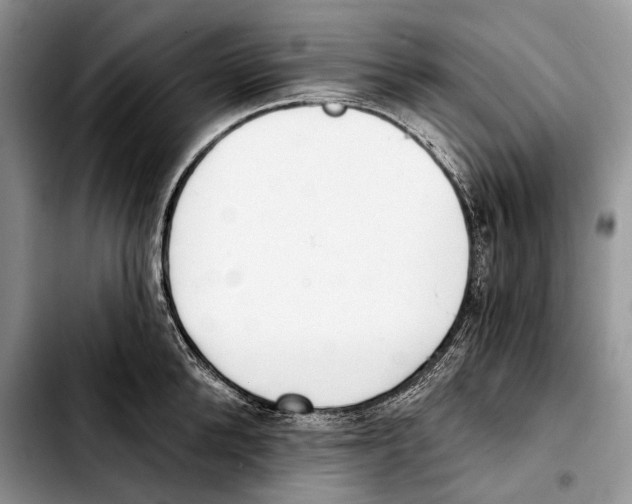 X0000103420904200810101016