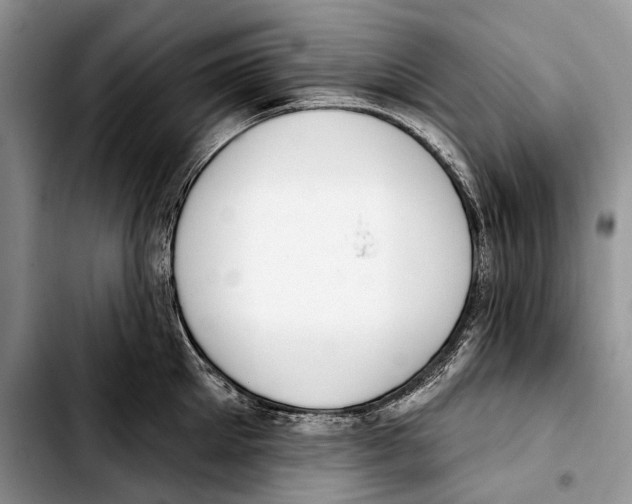 X0000103420905200810101016
