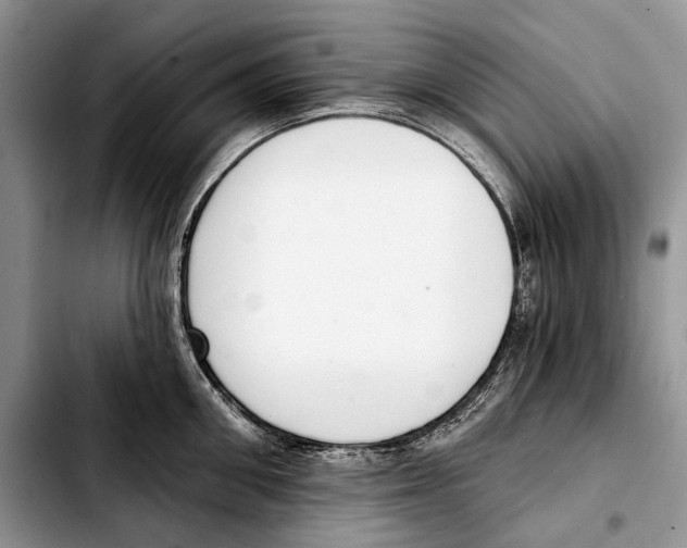 X0000103420906200810101016