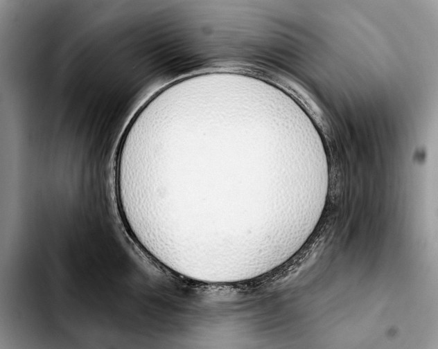 X0000103420907200810101016
