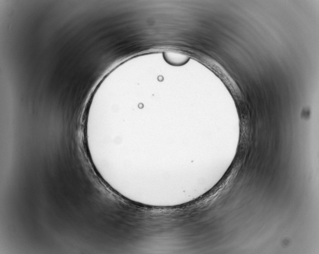 X0000103420908200810101016