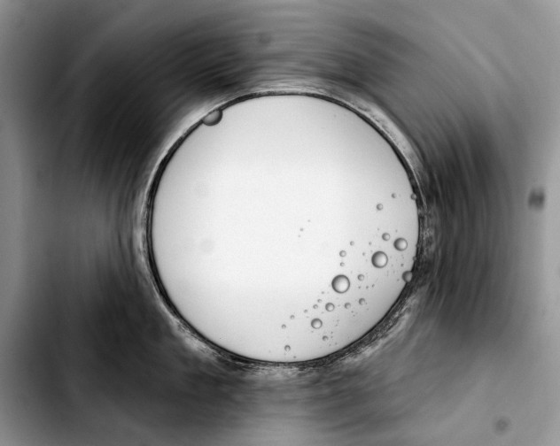X0000103420909200810101016