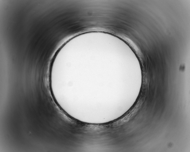 X0000103420910200810101016