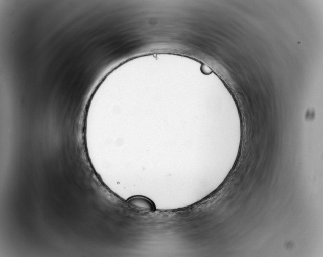 X0000103420912200810101016