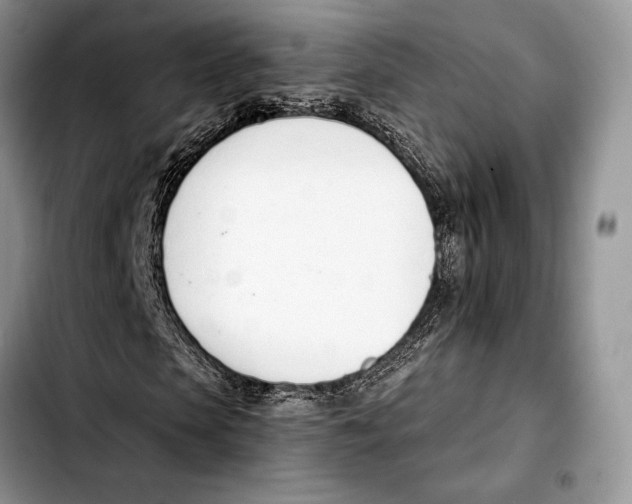X0000103420913200810101015