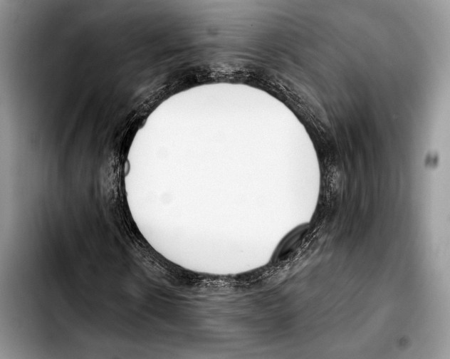 X0000103420914200810101015