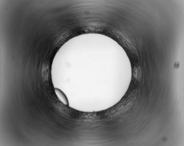 X0000103420915200810101015