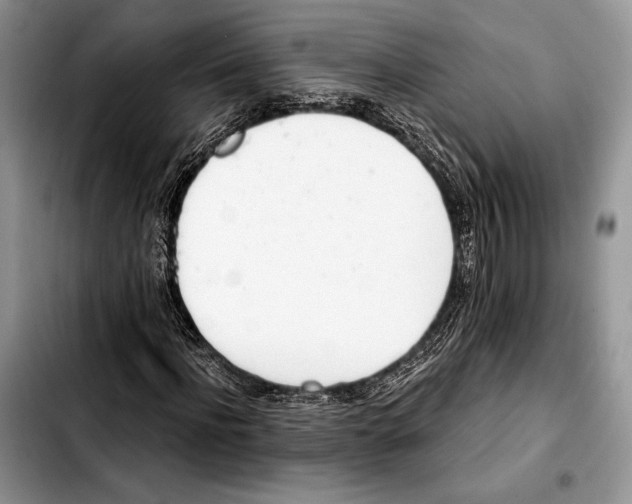 X0000103420916200810101015