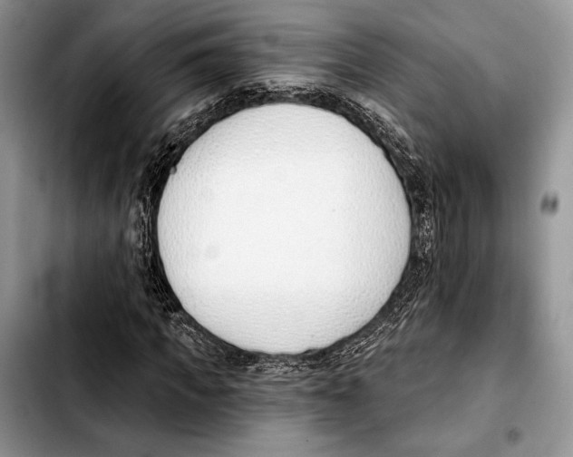 X0000103420917200810101015
