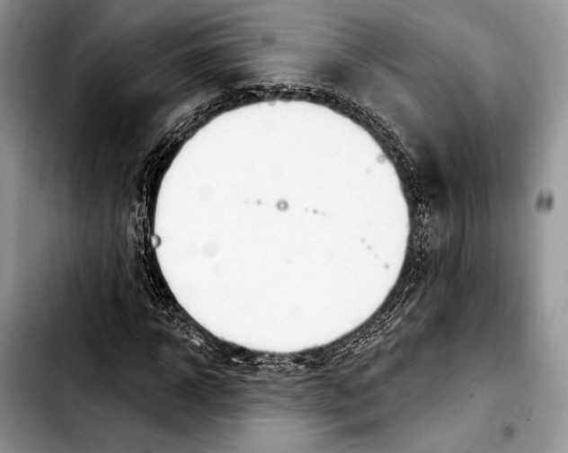 X0000103420918200810101015