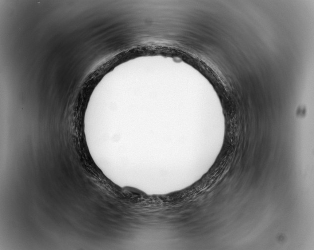 X0000103420919200810101015