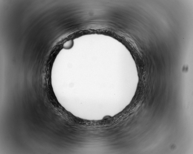 X0000103420920200810101015