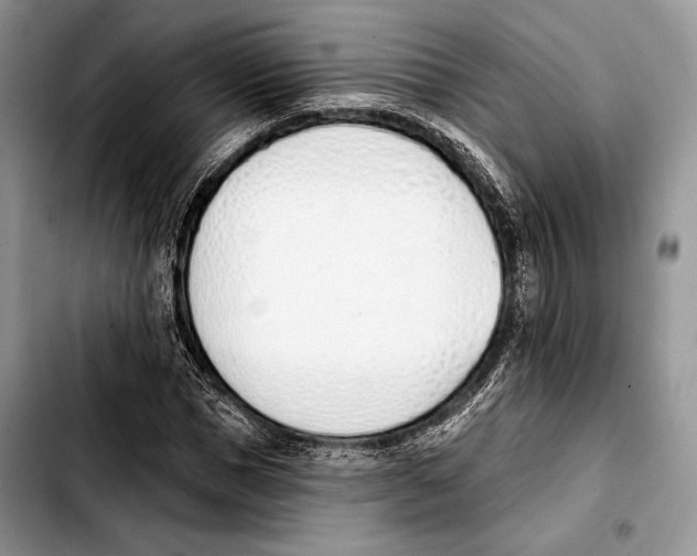 X0000103420921200810101015