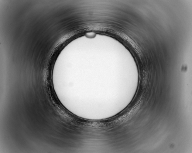 X0000103420922200810101015