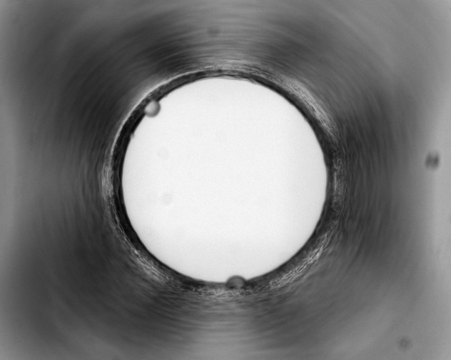 X0000103420924200810101015