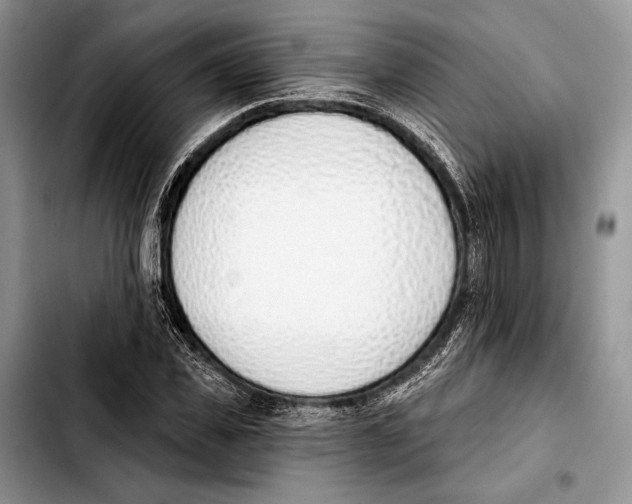 X0000103420925200810101015