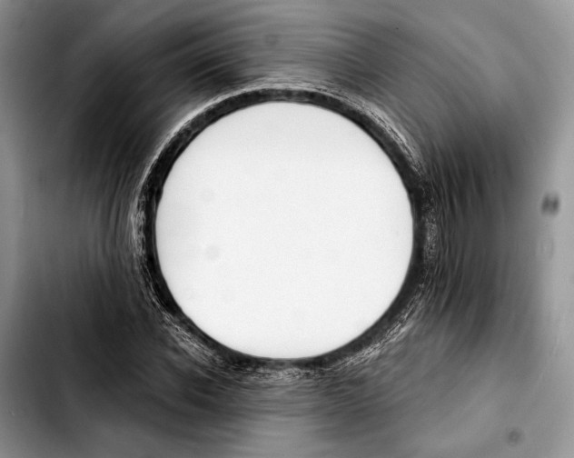 X0000103420926200810101015