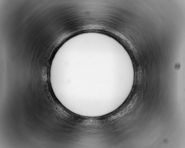 X0000103420929200810101015