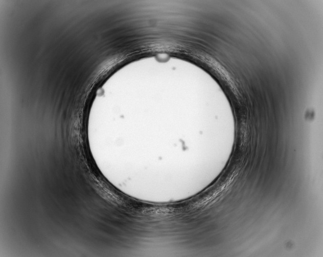 X0000103420930200810101015