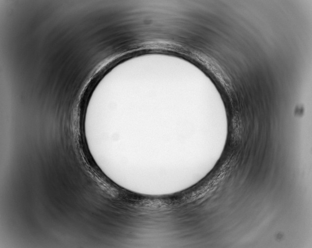 X0000103420931200810101015