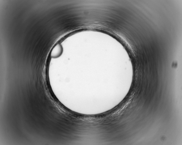 X0000103420932200810101015